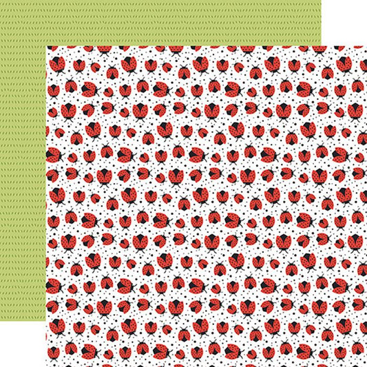 Echo Park - Little Things Mean A Lot Lovely Ladybugs 12x12 DS Patterned Paper (1 Sheet)