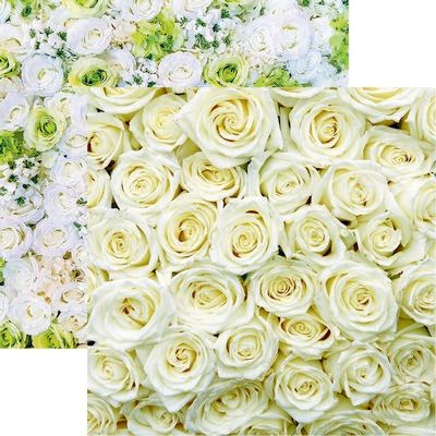 Reminisce Made with Love: White Roses DS Paper (1 Sheet)