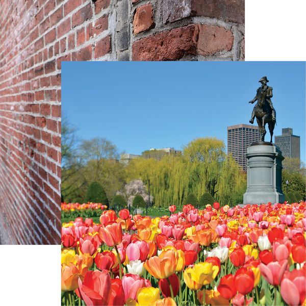 Reminisce New England: Boston Public Gard DS Paper (1 Sheet)