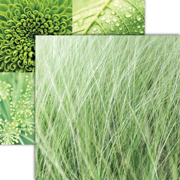Reminisce Nature's Textures - Forest Greens DS Paper (1 Sheet)