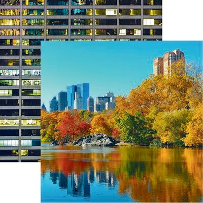 Reminisce New York: Central Park DS Paper (1 Sheet)