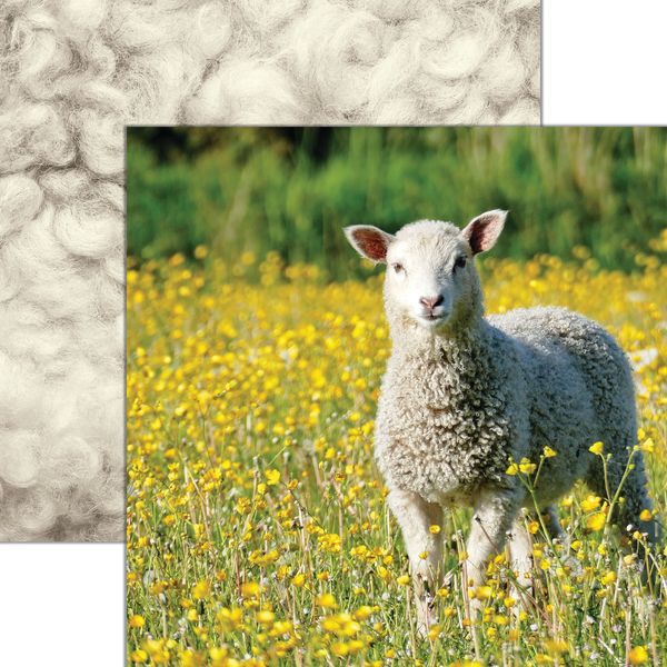 Reminisce Oh Sheep!: Spring Stroll DS Paper (1 Sheet)