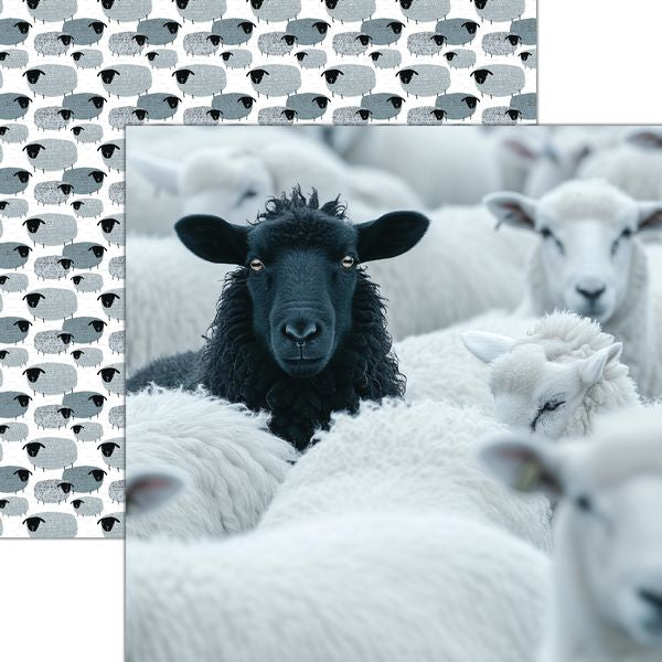 Reminisce Oh Sheep!: Black Sheep DS Paper (1 Sheet)