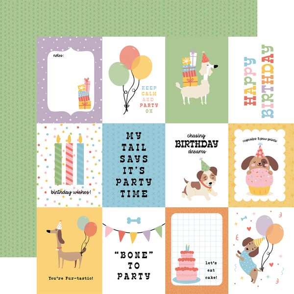 Echo Park Party Animal 3x4 Journaling Cards 12x12 DS Patterned Paper (1 Sheet) (1 Sheet)