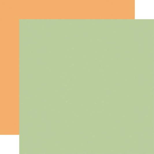 Echo Park Party Animal: Green / Orange 12x12 Coordinating Solid Paper (1 Sheet)