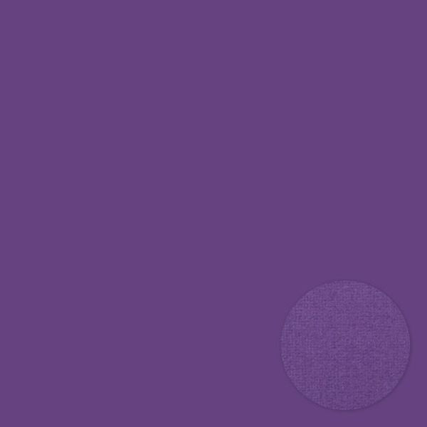 Bazzill Purple 12x12 Cardstock
