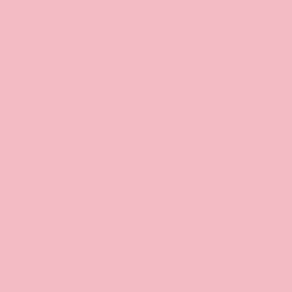 Bazzill Crepe 12x12 Cardstock