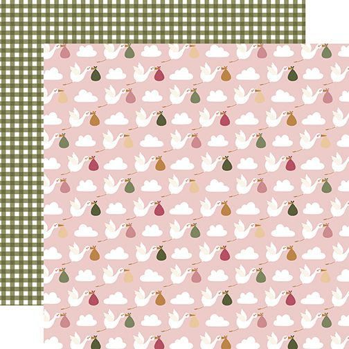 Echo Park Special Delivery Stork Delivery Day DS Paper (1 Sheet)