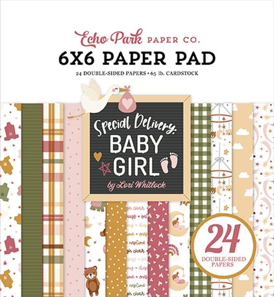 Echo Park Special Delivery Baby Girl 6X6 Pad