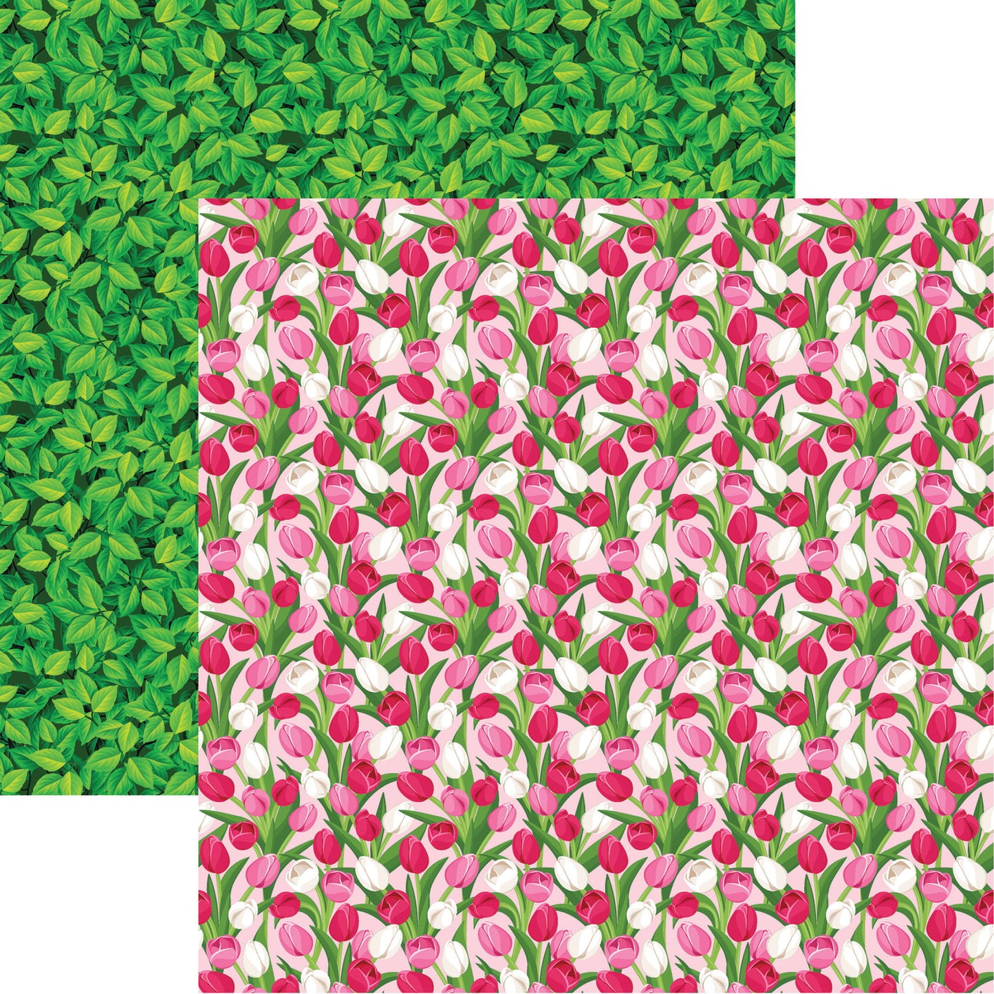 Reminisce Spring Fever: Tulip Twirl DS Paper (1 Sheet)