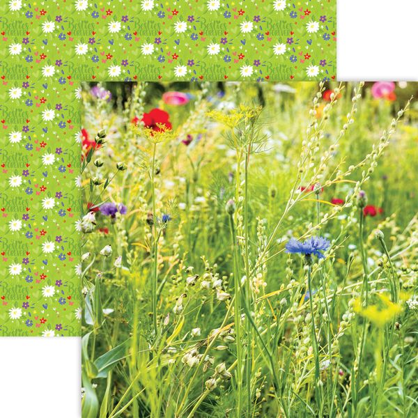 Reminisce Sisters: Wildflowers DS Paper (1 Sheet)