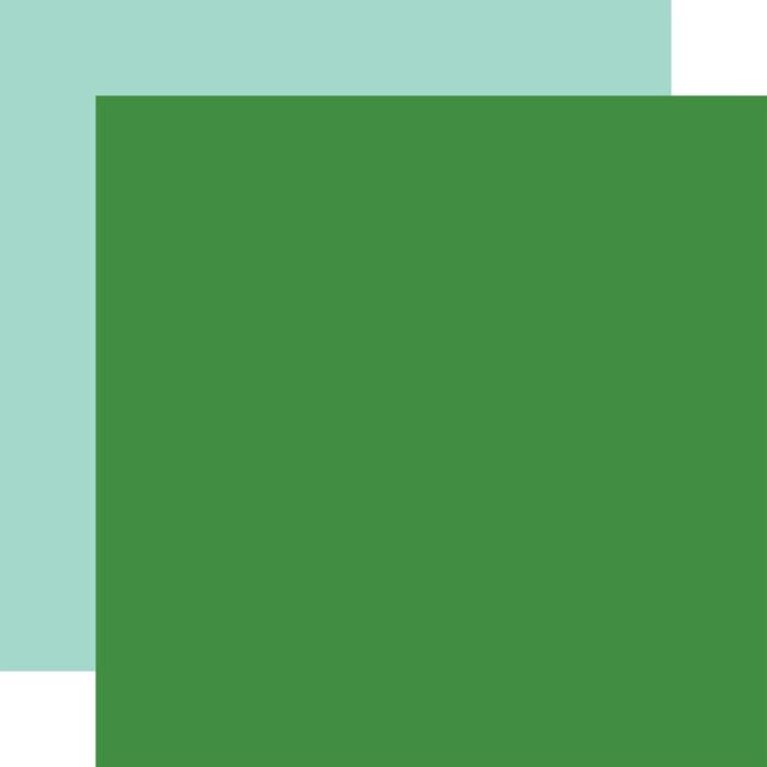 Echo Park Happy St. Patrick's Day Double-Sided Cardstock 12"X12"-Green/ Blue