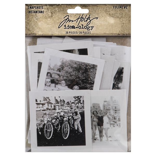 Tim Holtz Idea-Ology Snapshots 36/Pkg-Volume #2