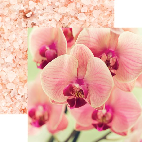 Reminisce Unwind: Pink Orchid DS Paper (1 Sheet)