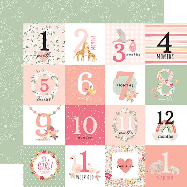 Welcome Baby Girl Milestone Jo