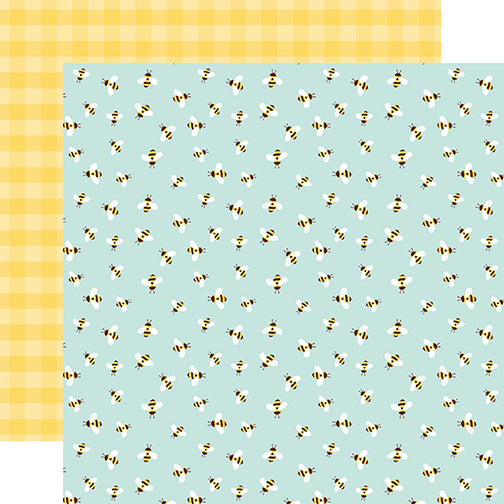 Echo Park Welcome Spring - Bumblebee Breeze DS Paper (1 Sheet)