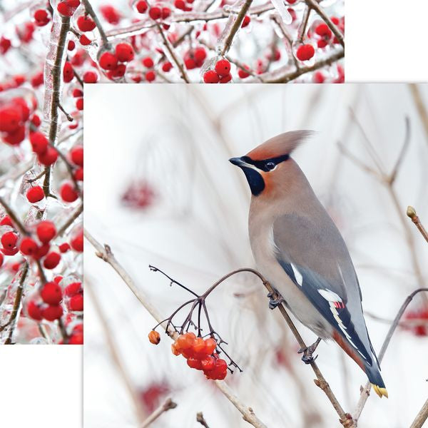 Reminisce Winter Canvas:  Bird & Berries DS Paper (1 Sheet)