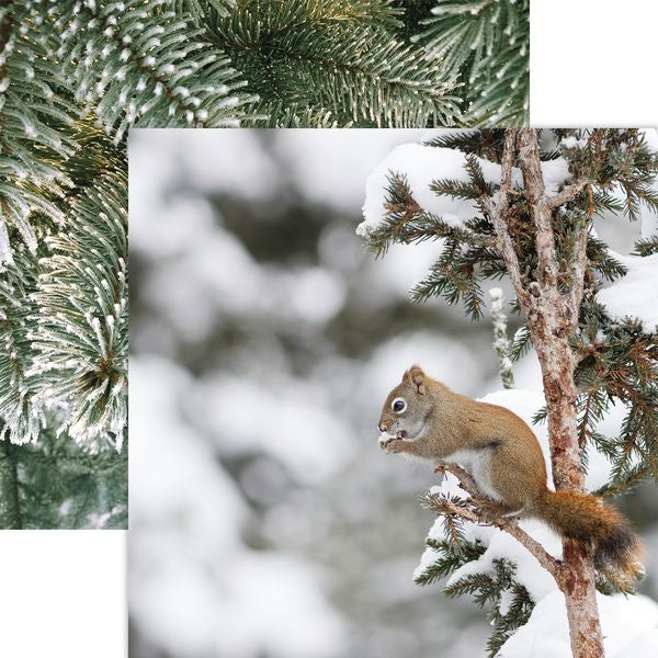 Reminisce Winter Canvas:  Red Squirrell DS Paper (1 Sheet)