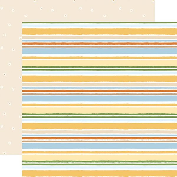 Echo Park Winnie the Pooh Baby So Sweet Stripes  DS Paper (1 Sheet)