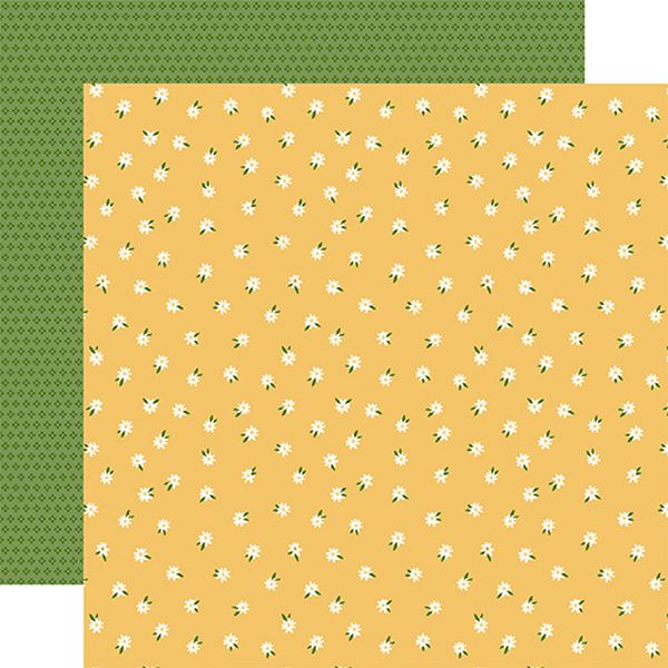 Echo Park Winnie the Pooh Baby Oh Baby Daisies DS Paper (1 Sheet)